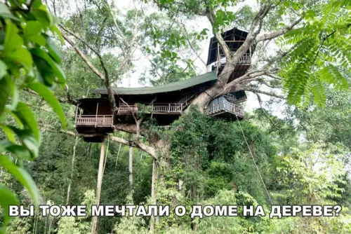Смешная картинка №175904