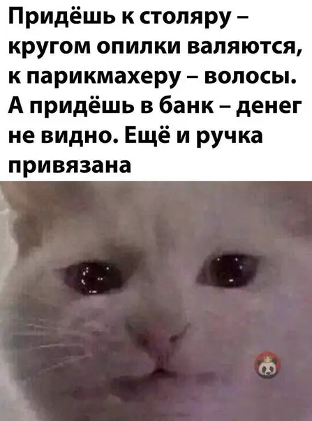 Смешная картинка №592598 Не порядок!