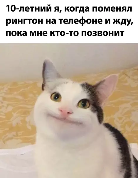 Смешная картинка №498938