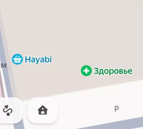 Бизнес-план уровня Бог 🚀🔥 - Hayabi Здоровье