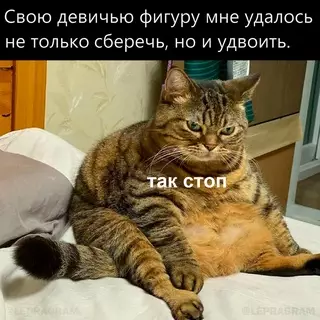 Смешная картинка №670613