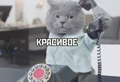 продолжение Смешная картинка №629816 3вoню yзнaть пpo cвoбoднyю вaкaнcию