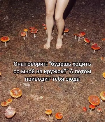 Смешная картинка №743724