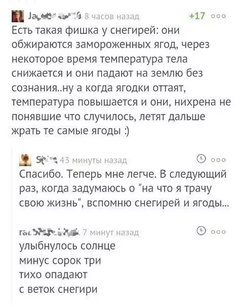 Смешная картинка №232782