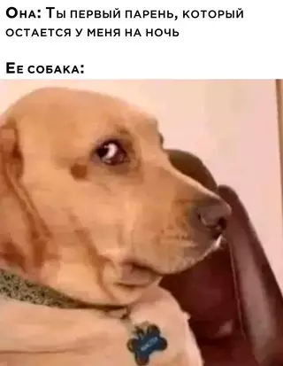 Смешная картинка №698880