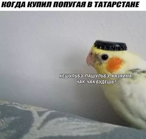 Смешная картинка №274772