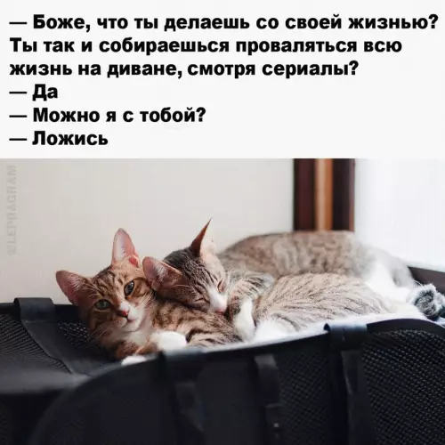 Смешная картинка №655717 сериалы