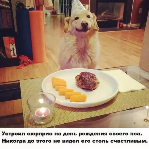 Смешная картинка №223794 собаки