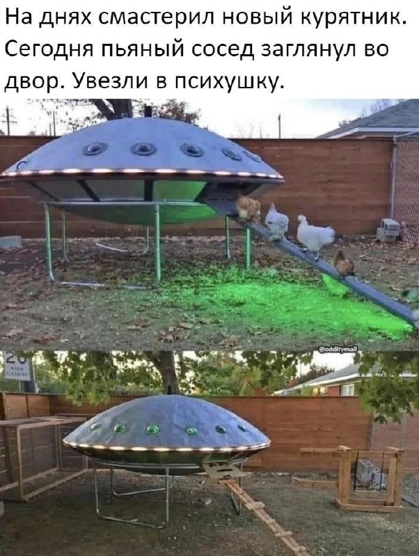 мемы