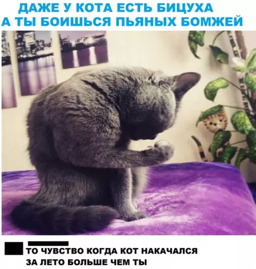 Смешная картинка №299612