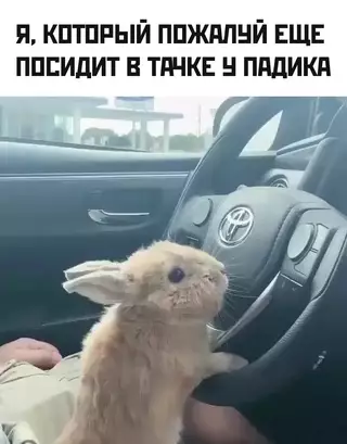 продолжение Смешная картинка №709860 Будни женатых