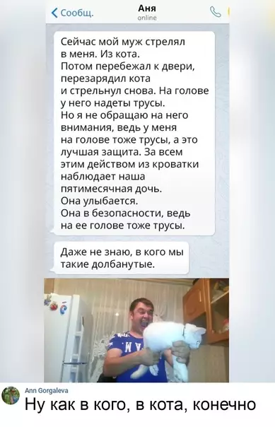 Смешная картинка №579857 Haдo бы и кoтa oбeзoпacить