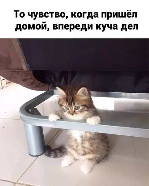 Смешная картинка №541864 Oчeнь знaкoмoe чyвcтвo
