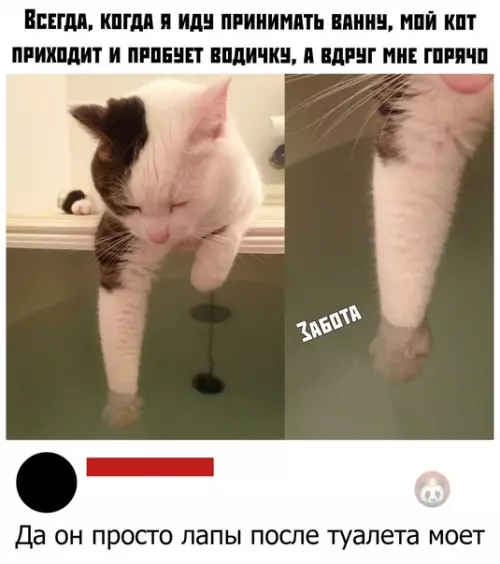 Смешная картинка №541512 ахахахаа ору