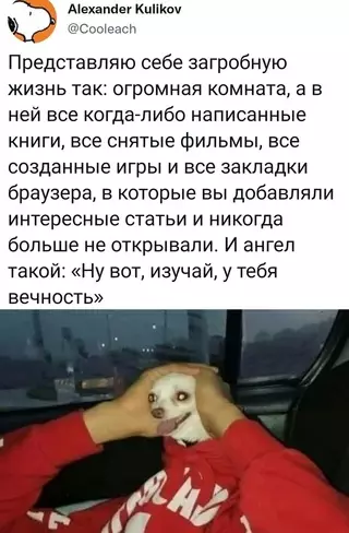 Смешная картинка №629928