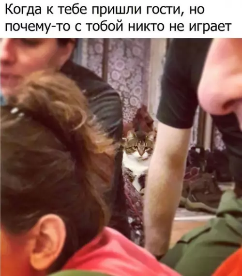 Смешная картинка №295066