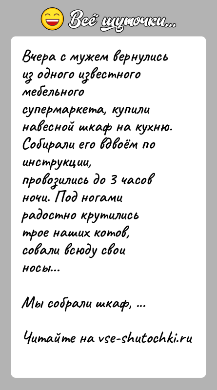 История: Вчера с мужем вернулись из одного известного мебельного супермаркета, купили навесной шкаф на кухню. Собирали его вдвоём по инструкции, провозились