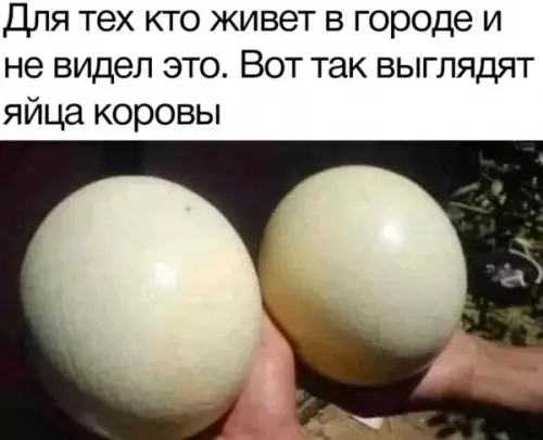 Смешная картинка №649652