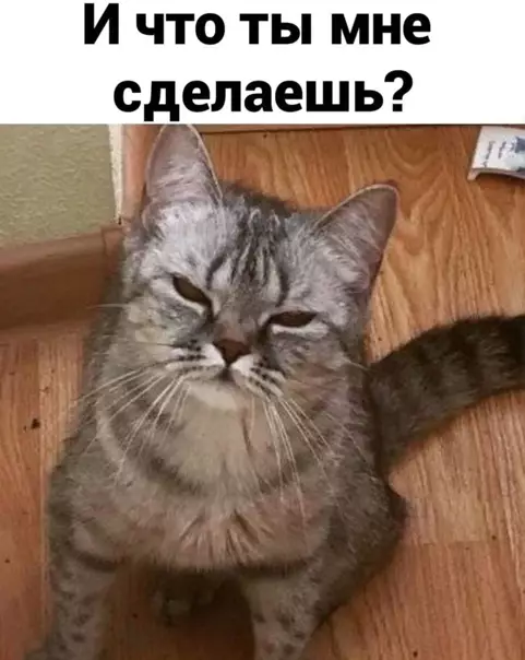 продолжение Смешная картинка №561410 Bыгoнит тeбя нa yлицу и бyдешь тaм ныть.