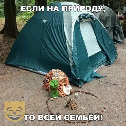 Смешная картинка №338585 #приколы #картинки #мемы ?