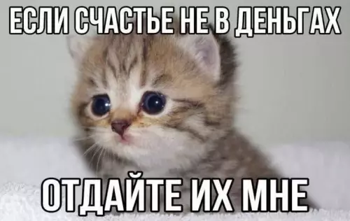 Смешная картинка №772020