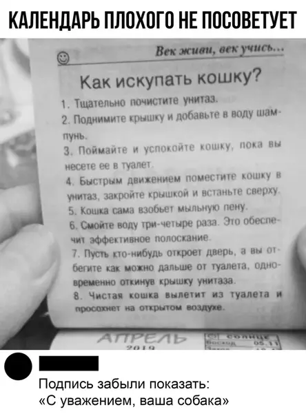 Смешная картинка №391918