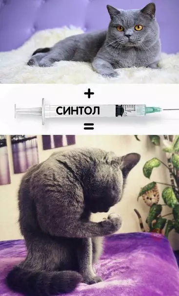 Смешная картинка №223893