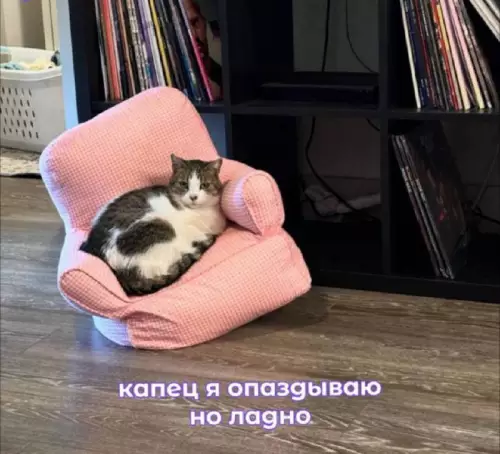 Смешная картинка №751183