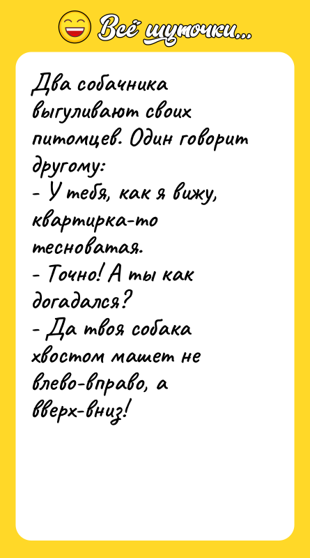 Два собачника выгуливают своих питомцев. Один говорит другому: - У