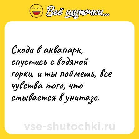Шутка: Сходи в аквапарк, спустись с водяной горки, и ты поймешь, все чувства того, что смывается в унитазе.