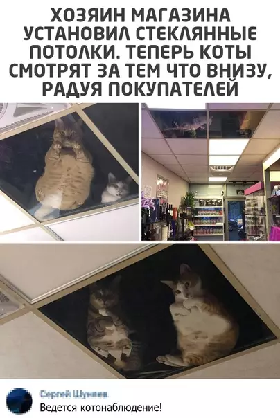 Смешная картинка №536396