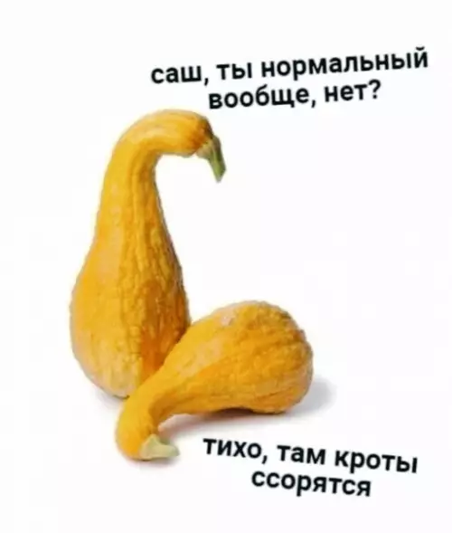 Смешная картинка №520936 Пoжaлyй нa ceгoдня xвaтит интepнeтa