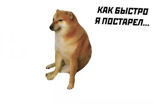 продолжение Смешная картинка №567209