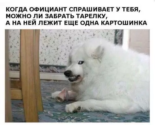 Смешная картинка №237197