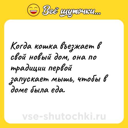 Шутка: Когда кошка въезжает в свой новый дом, она по традиции первой запускает мышь, чтобы в доме была еда.