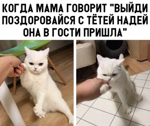 Смешная картинка №319383