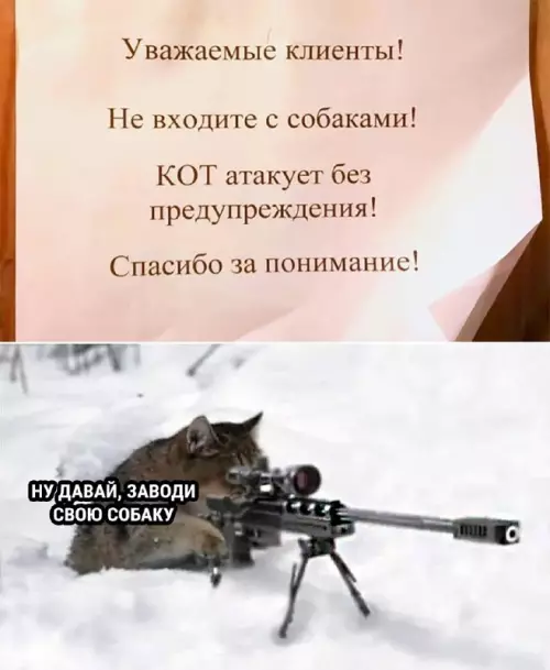 Смешная картинка №677076