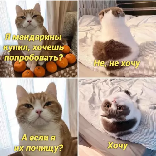 Смешная картинка №668312