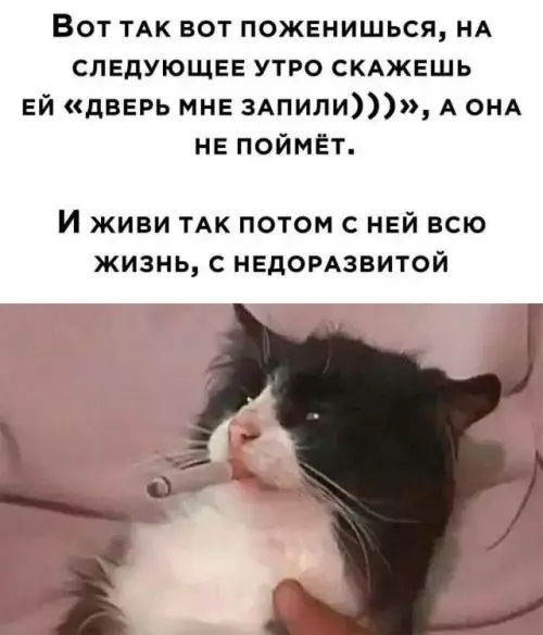 Смешная картинка №730162