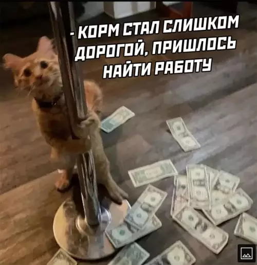 Смешная картинка №564004