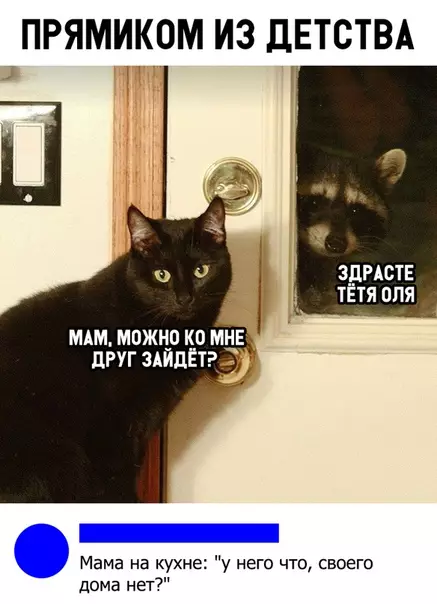 Смешная картинка №312318