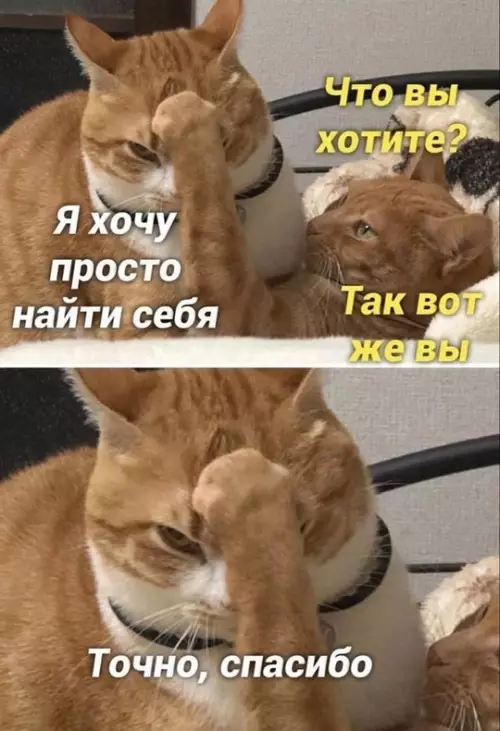 Смешная картинка №737388