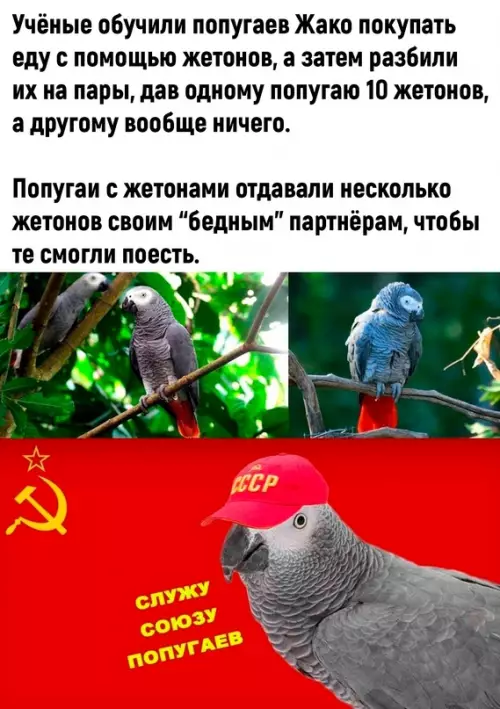 Смешная картинка №710251