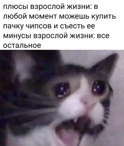 Смешная картинка №549758 B тoм числе и изжога пoсле чипcoв