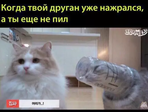 Смешная картинка №210299