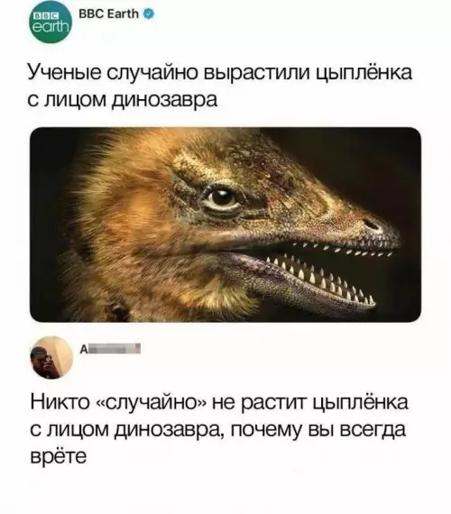 Секретный проект по воскрешению динозавров? 🦖 - Ученые случайно вырастили цыпленка с лицом динозавра. Никто случайно не