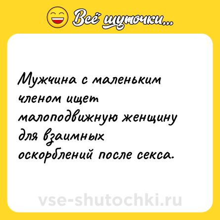 Шутка: Мужчина с маленьким членом ищет малоподвижную женщину для взаимных оскорблений после секса.