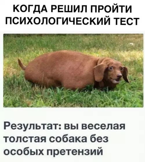 Смешная картинка №304283