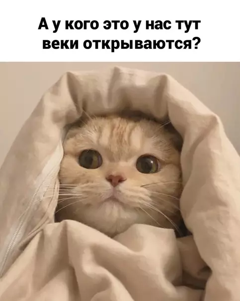 продолжение Смешная картинка №561330 Жecтoкoe вocкpeшeниe