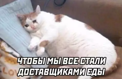продолжение Смешная картинка №567986